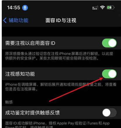 厚街镇苹果14维修网点分享iPhone14注视感知功能有什么用 